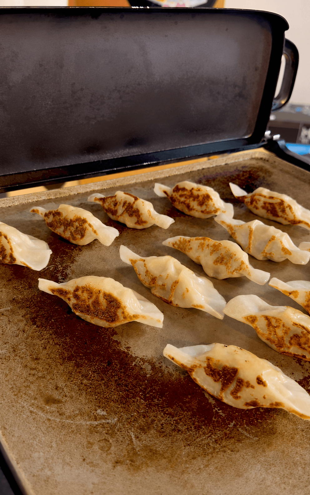 Golden pan-fried dumplings searing on the griddle
